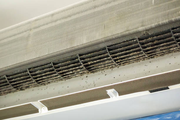 Best HVAC Air Duct Cleaning  in Silver Lake, KS